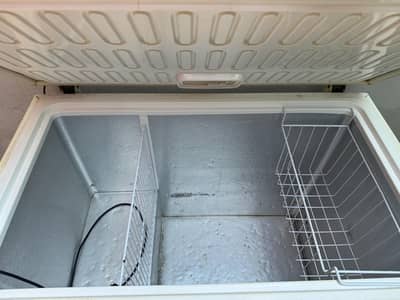 Waves Freezer Full Size Single Door