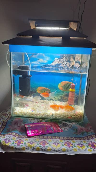 full aquarim for sale