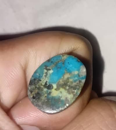 original Irani shajri feroza