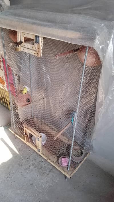 bird cage for sale