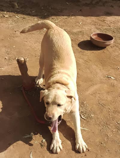 0-3-0-0-5-7-0-1-8-8-8-  .  . مائی واٹس ایپ نمبر کنٹیکٹ می