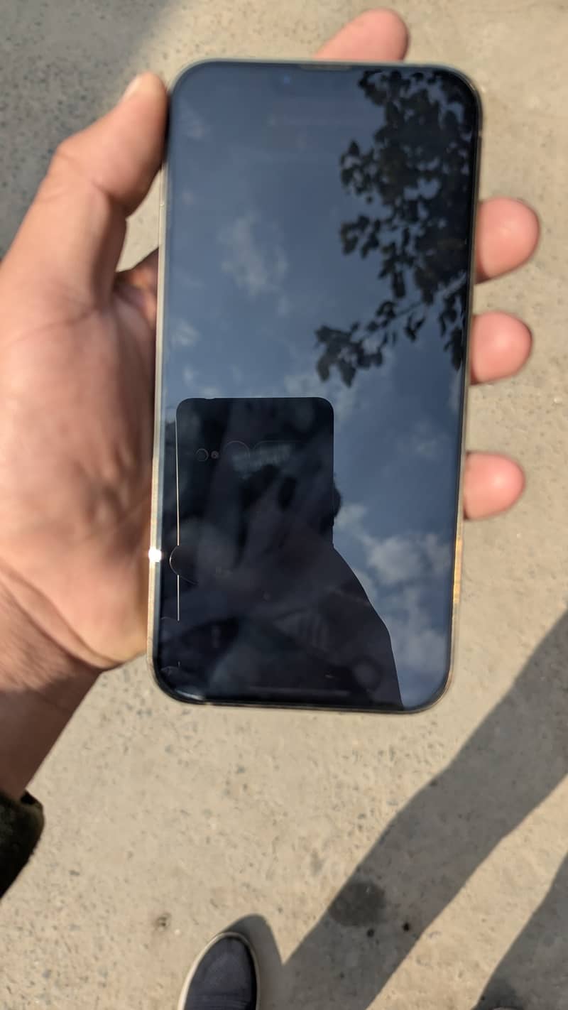 Iphone 13pro max 1