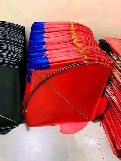 Licensed Online Kite Store for QR-Coded Basant Kites