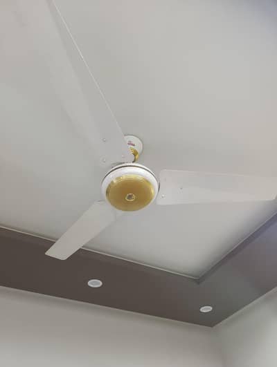 سیلنگ پنکھے برائے فروخت