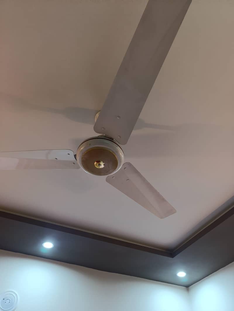 سیلنگ پنکھے برائے فروخت 2