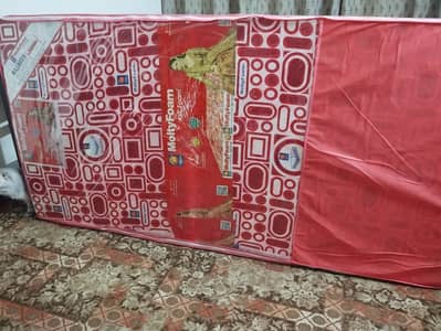 2 Single bed Mattress