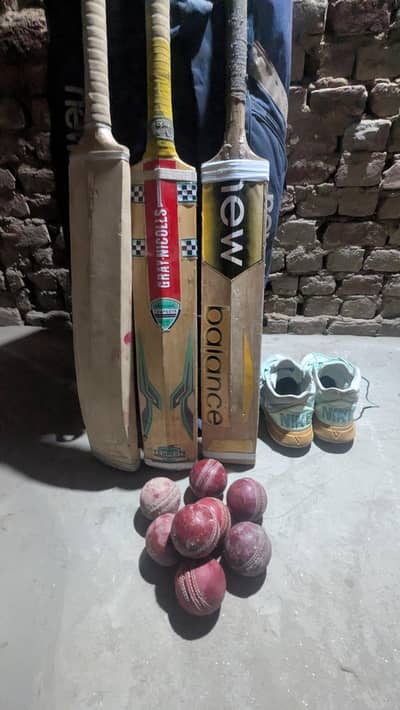 cricket bat shose bat pad  for sale