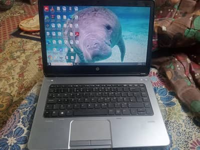 hp laptop available for good price