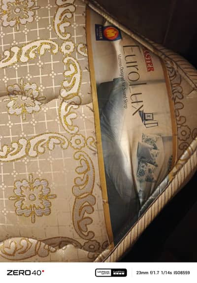 It's standard size molty spring mattress.