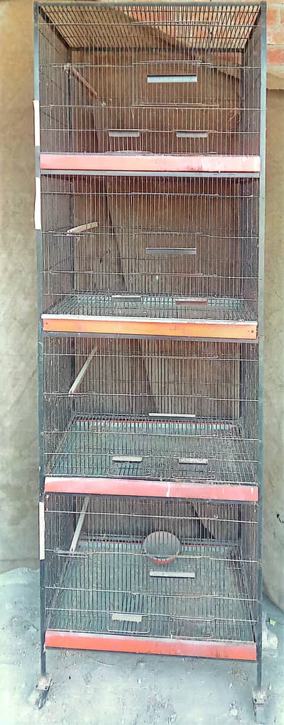 1 year use cage for sale