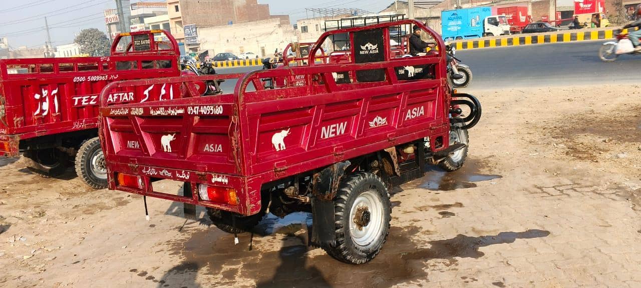 نیوایشیا ہاتھی ماڈل 10