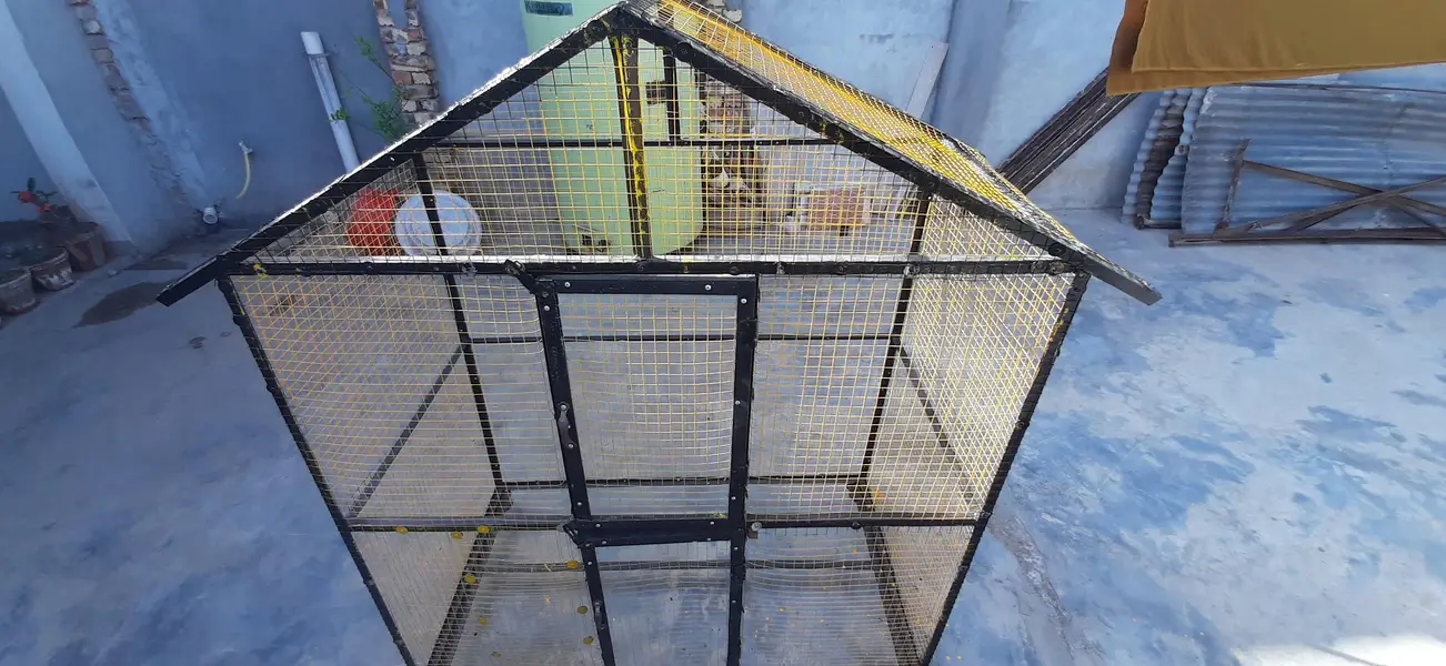 Double Cage For Parrot - Hens - Small Dog — photo 2