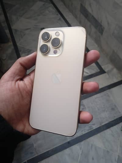Iphone 13 pro 256 gb non pta (Dot)