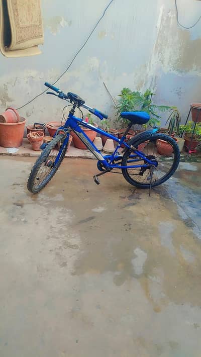 made in Japani original Japani cycle