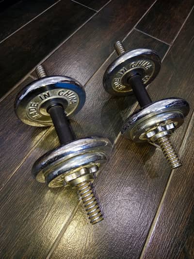 15kg Dumbbells