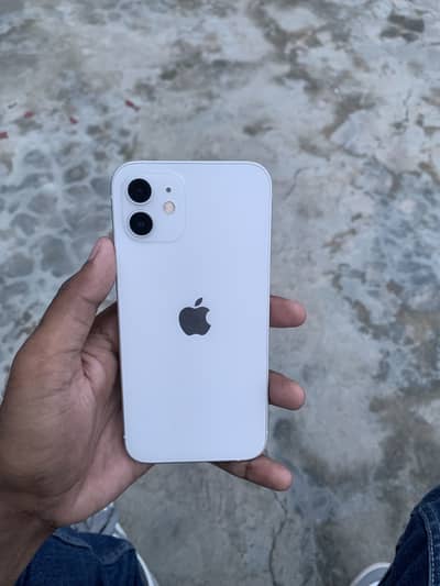 iphone 12 PTA Approved