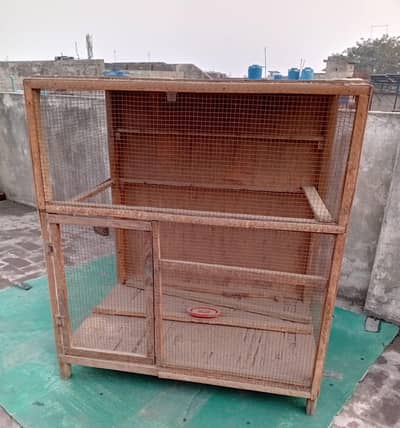 Birds cage