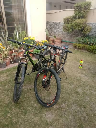 Phoenix and Galaxy cycle