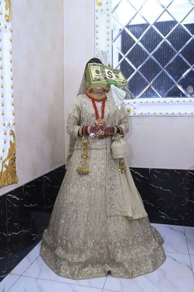 Bridle Dress/ Wedding dress/ Bridal Lehnga