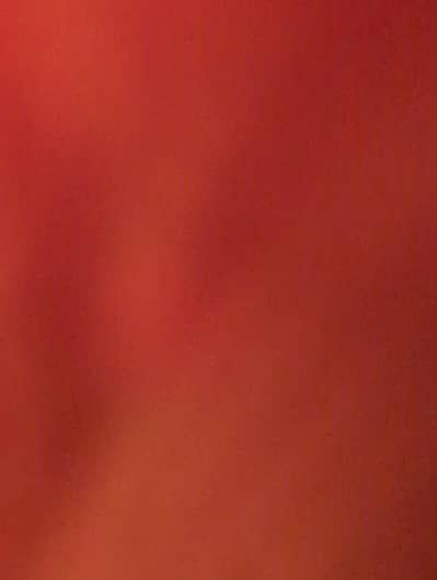 Accountant needed (female only)