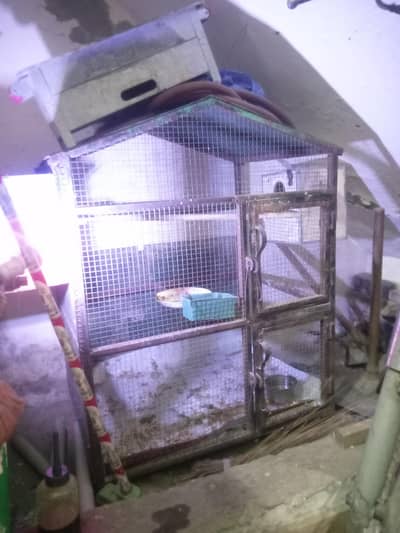 2 Breeder pairs of Cocatiels with Colony cage