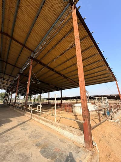 Farm Sheds / Farm Roof Sheds / High Quality Sheds / Sheds For Sale