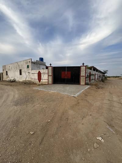 Cattle farm fir sale