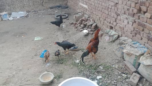 ye sara mall kisi ko chahiye to rabta kare arjant sale