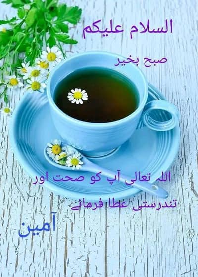 house cleaning khana chai pakana