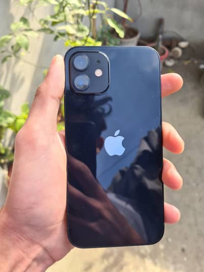 IPHONE 12 (SIM WORKING]
