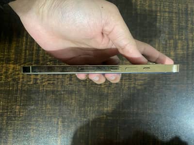 Apple iPhone 12 Pro Max