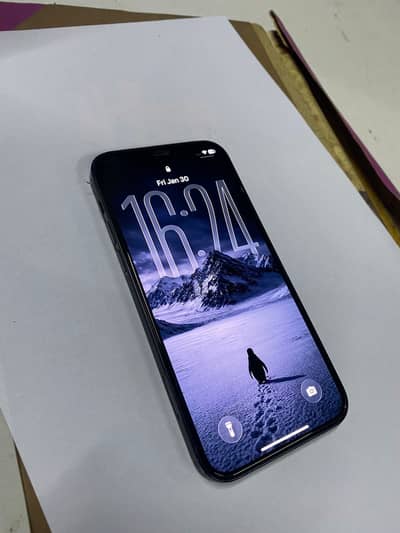 Iphone 12 Pta Approved