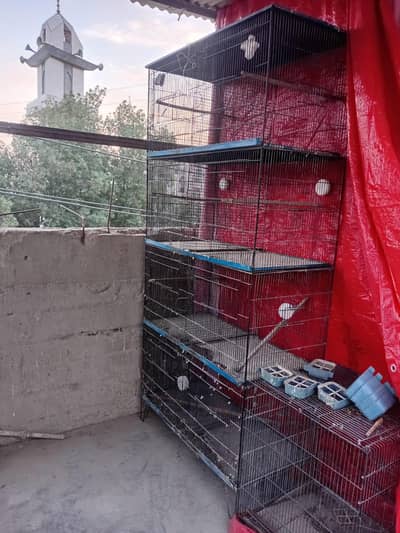 cage for sale