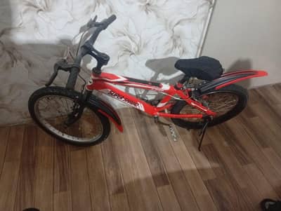 bicycle 20 inch / imported cycle