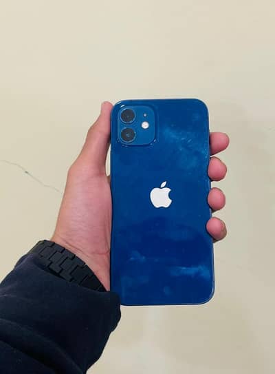 I phone 12