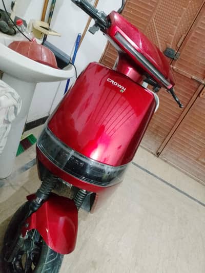 Scoty For sale urgent