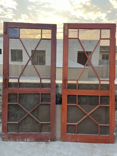 2 Net Doors