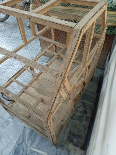 cages for parrots and other birds