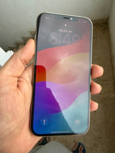 Apple iPhone 12 Pro Max