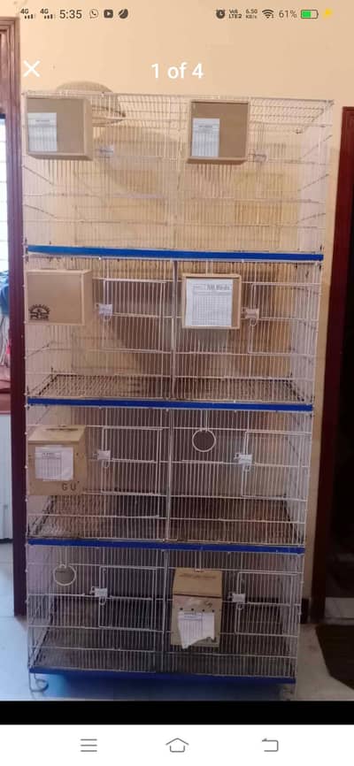 Birds Cage 8 Portions