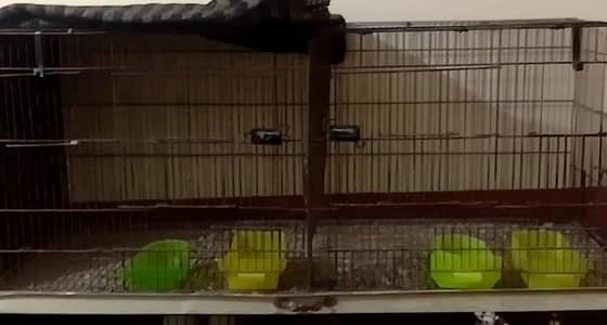 2 portion cage ( achi wire ma )