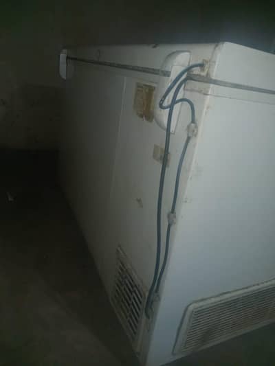 waves single door freezer
