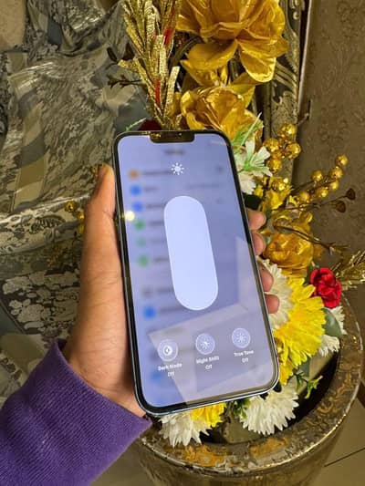 iphone 13 non pta water pack all ok