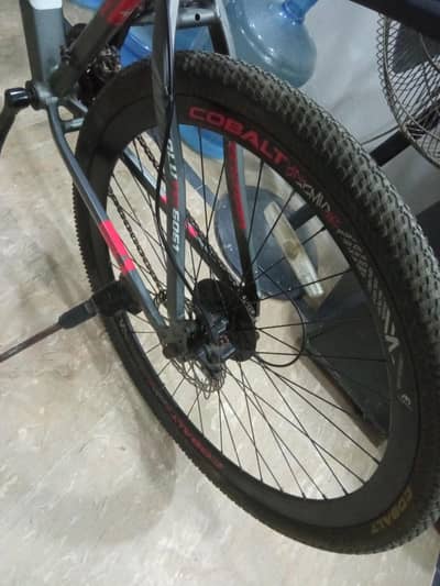 cobalt bicycle full size 29 inch