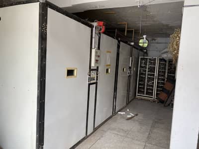 Hatchery incubator for sale