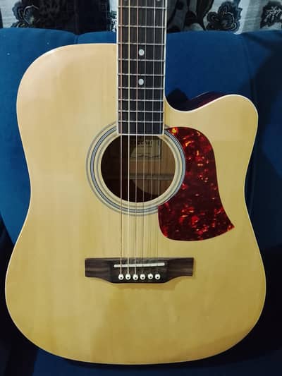 acoustic guitar