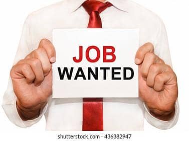 Need a job in islamabad