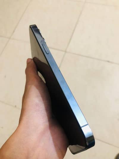 13 pro max pta approved