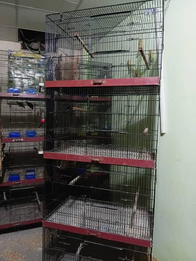 Cage(Pinjra) 03235950901