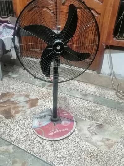 solor fan for sale
